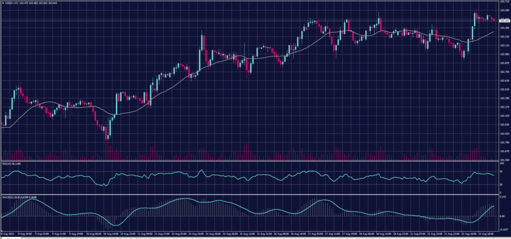 US crude Graph Candle for 23 August 2023